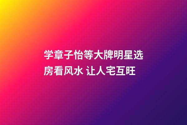 学章子怡等大牌明星选房看风水 让人宅互旺